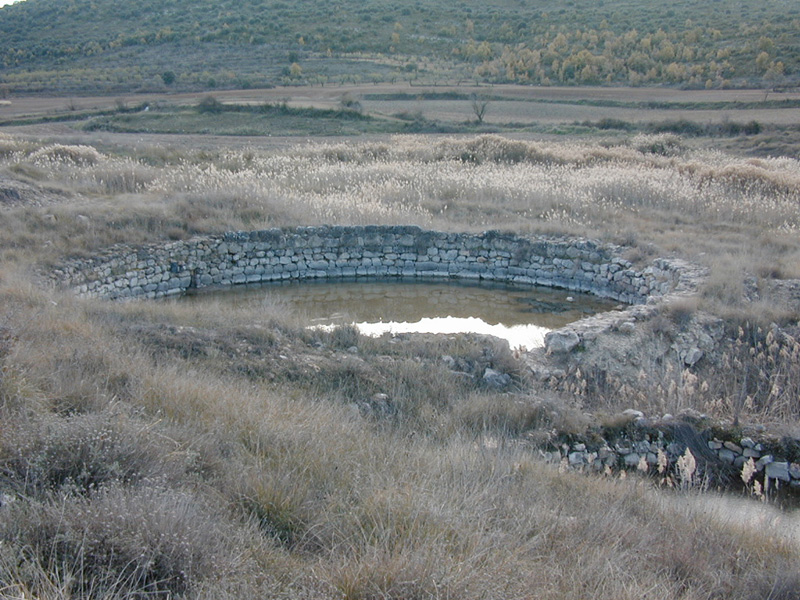Salinas