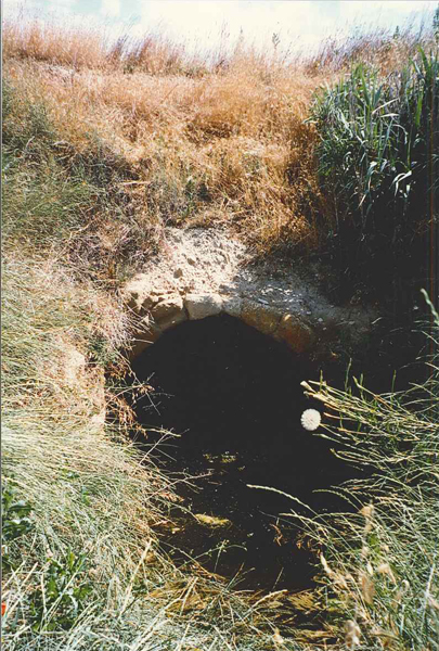 POZO SALADO POZO SALADO