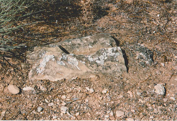 PIEDRA DE PUIMELERO PIEDRA DE PUIMELERO