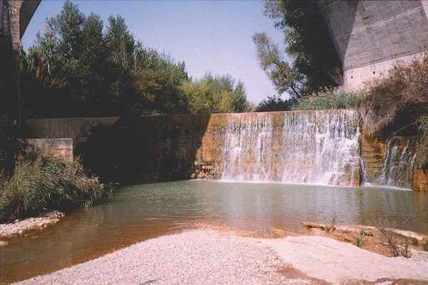 AZUD DE ARRIBA AZUD DE ARRIBA