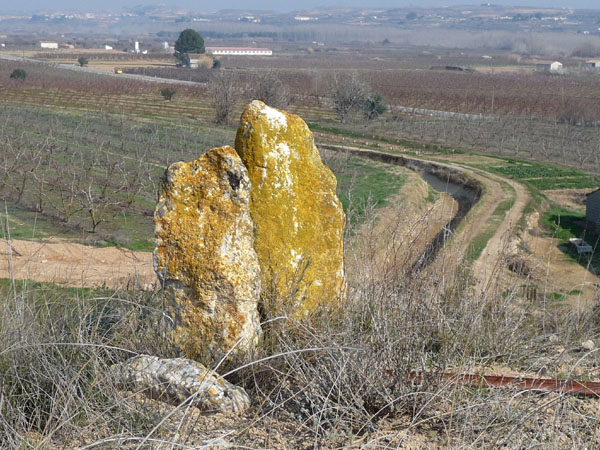 Vista general Vista general