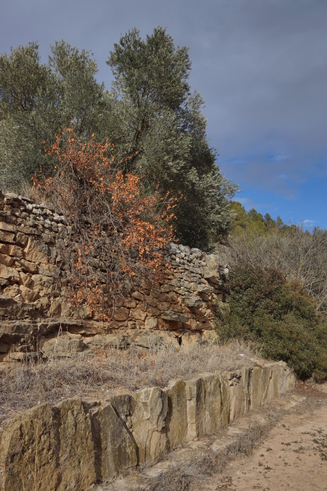 Acequia de Les Planes