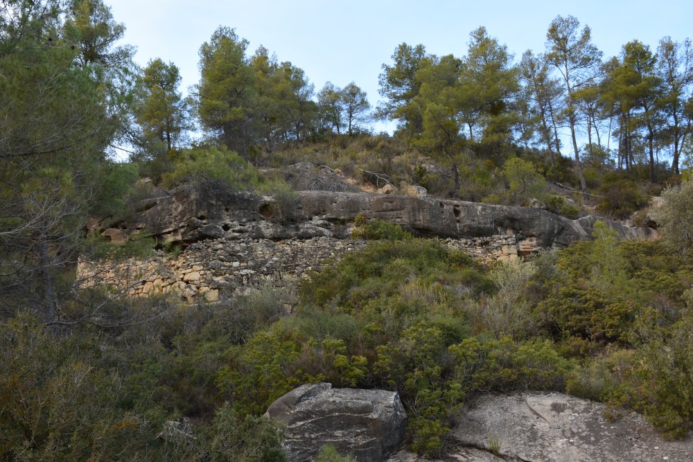 Cova de bestiar