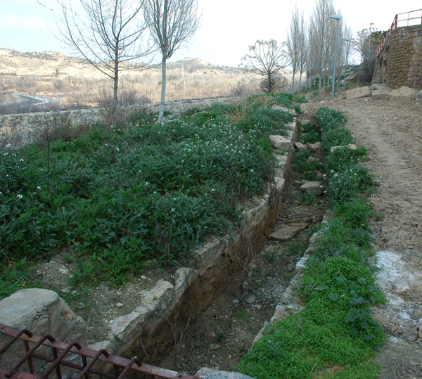 Molino harinero