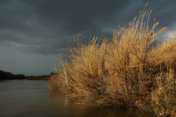 Boquera de acequia de riego