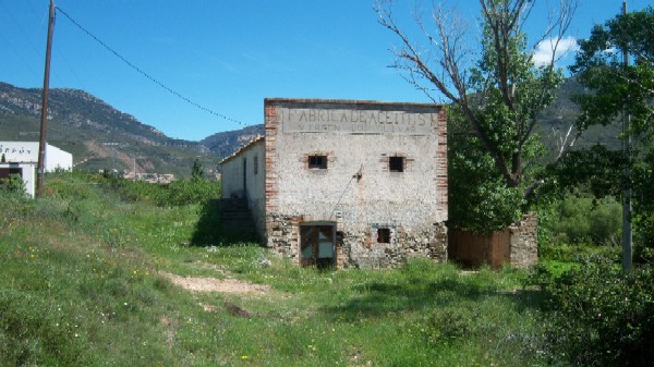 Fbrica de aceites Virgen del Olivar
