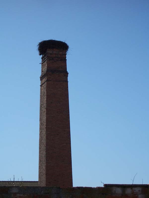 Chimenea - Maella :: SIPCA