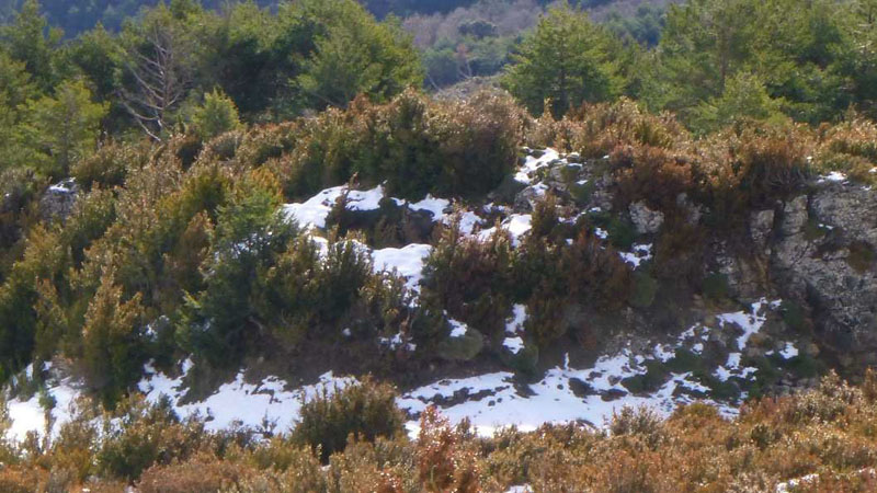 Pozo de nieve de Campo Boltaa