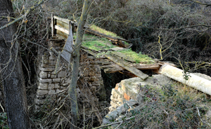 Puente de acceso a la mejana