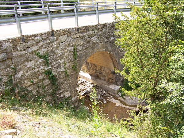 Puente 1