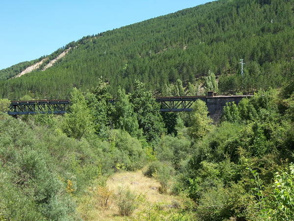 Puente de ferrocarril 3