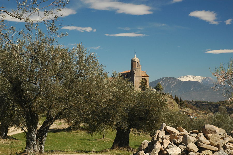 Olivos e iglesia desde el molino de casa Falceto, en Olsón